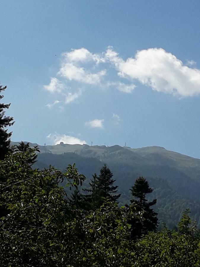 Hotel Lanobila Sinaia Esterno foto